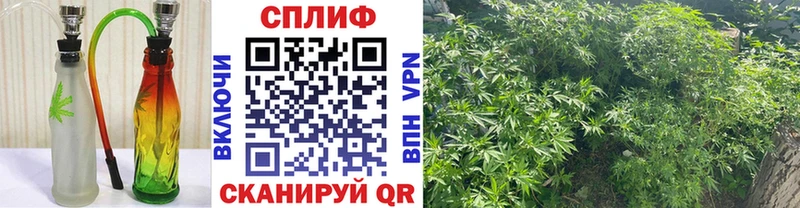 наркошоп  Льгов  Конопля Ganja 